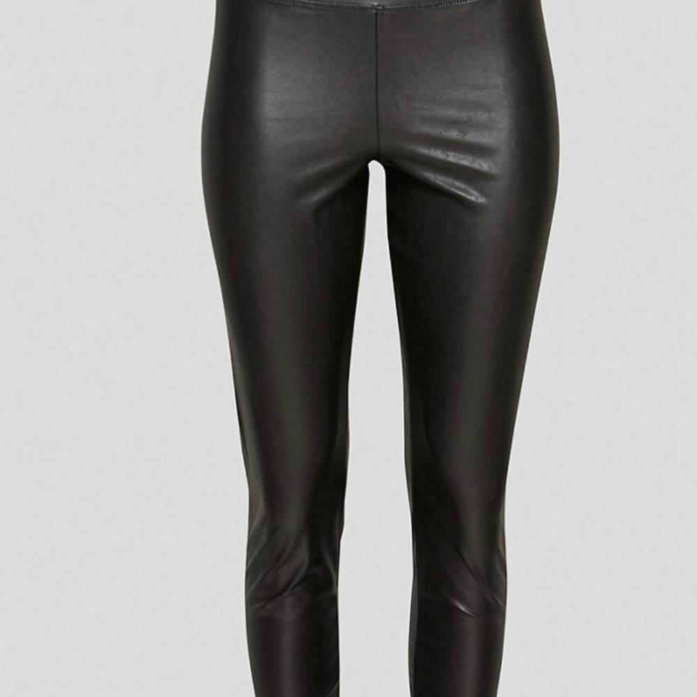 WILFRED FREE DARIA PANT